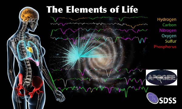 "The Elements of Life" poster features spectra colored with emission lines for hydrogen, carbon, nitrogen, oxygen, sulfur, and phosphorous.